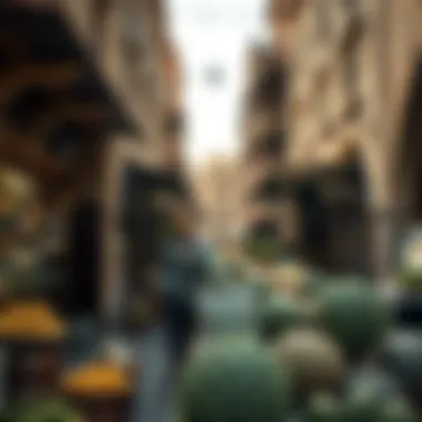 Magnificent Exploring the Old Markets of the Emirates
