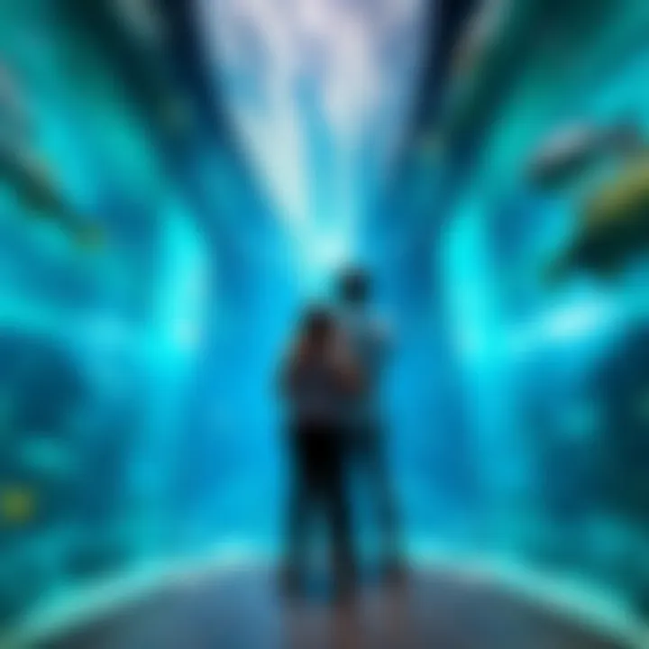 Underwater Aquarium Experience A family exploring the underwater aquarium experience