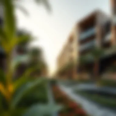 Urban Green Spaces Green landscaping and urban planning in Dubai