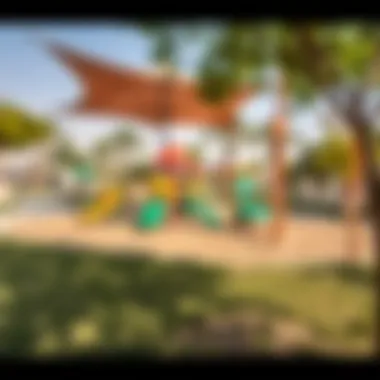 Activity Spaces in Al Moshirf Ladies Park Play area designed for various activities in Al Moshirf Ladies Park
