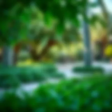 Lush Greenery at Al Moshirf Ladies Park Lush greenery surrounding the relaxation spots in Al Moshirf Ladies Park