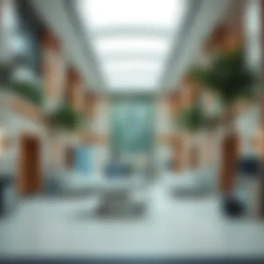 Advanced Healthcare Services in the UAE Healthcare facilities in the UAE highlighting advanced medical services