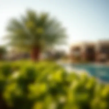 Lush greenery and recreational amenities at Azizi Beach Oasis