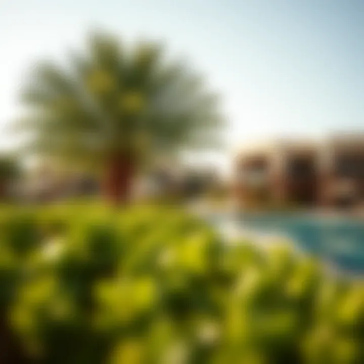 Lush greenery and recreational amenities at Azizi Beach Oasis