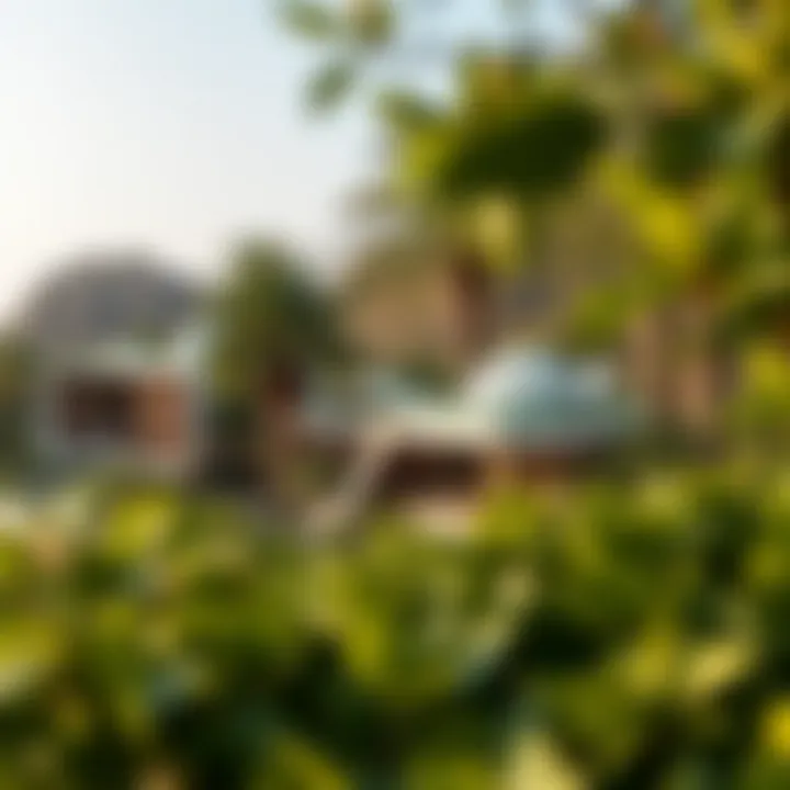 Serene landscape surrounding the Banyan Tree Residence highlighting the integration of nature and luxury