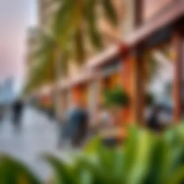 Stunning Boulevard Views Stunning views of the Boulevard with cafés in focus