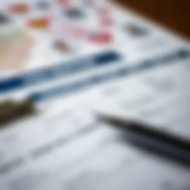 Essential Visa Application Documents Close-up of documents required for visa applications