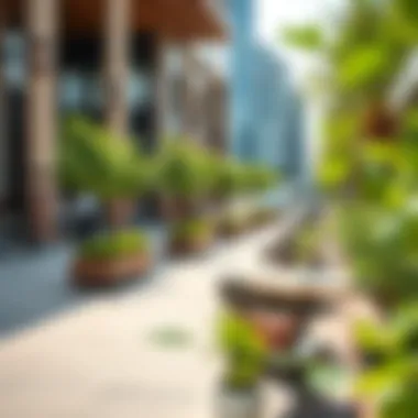 Leisure Area in City Center Mirdif Vibrant outdoor space in City Center Mirdif with greenery and seating areas