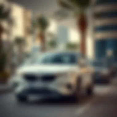 Diverse vehicle choices for rent