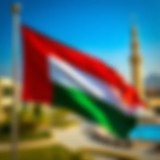 Visual representation of the UAE flag and visa