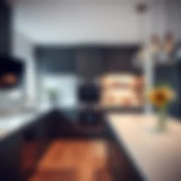 Modern kitchen renovation showcasing sleek design and functionality