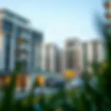 Comprehensive Overview of Dubai Municipality Pest Control Guidelines Introduction