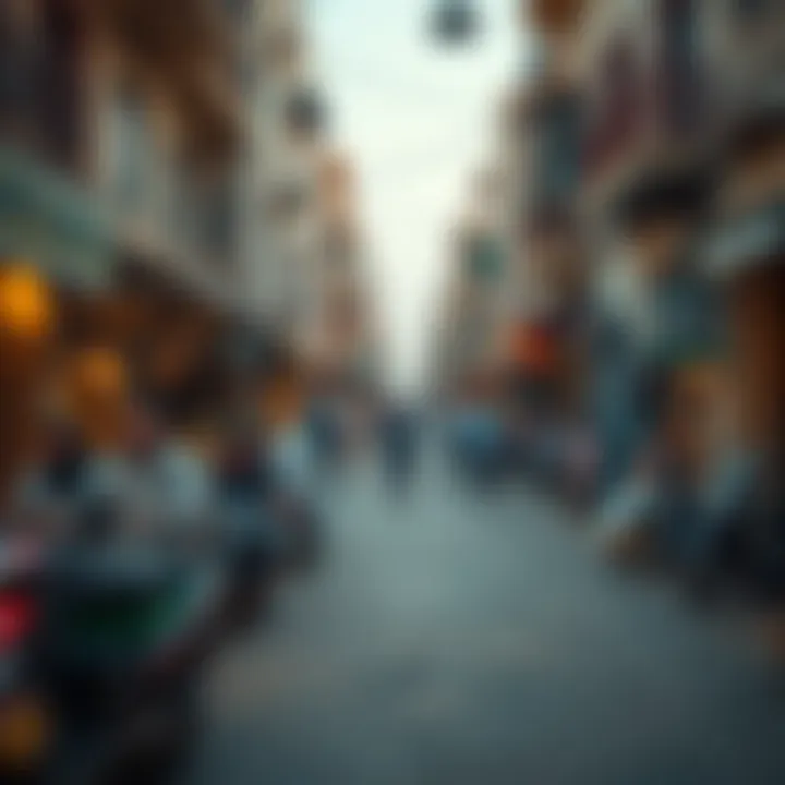 Community life and interactions in Desi Deira