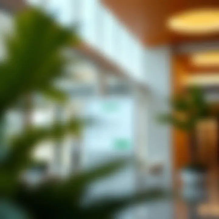 Screenshot of the DEWA online registration portal