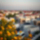 Scenic view of a budget-friendly neighborhood in Dubai