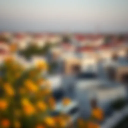 Scenic view of a budget-friendly neighborhood in Dubai