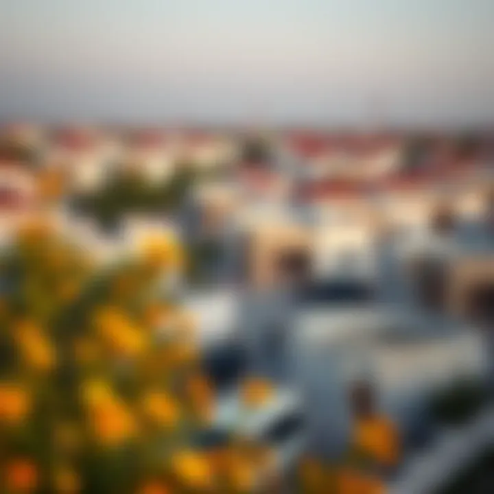 Scenic view of a budget-friendly neighborhood in Dubai