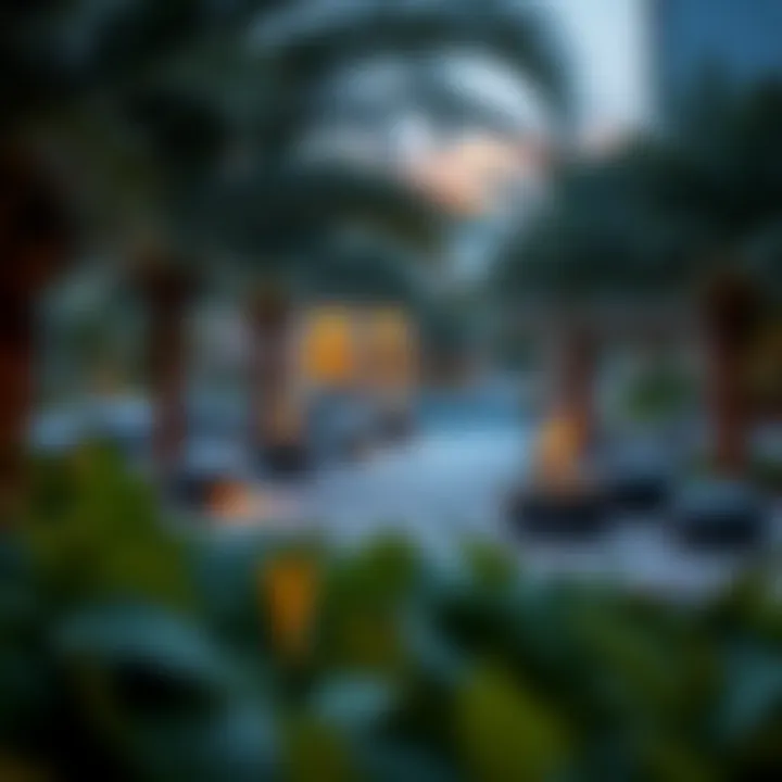 A serene park area within Al Rafa, ideal for relaxation and leisure