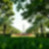 Lush greenery of Al Safa Park