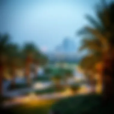 Scenic Views of Al Safa Park Scenic views of the park with skyline