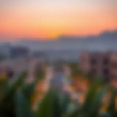 Exploring Al Thuriah: An Insight into an Emerging Real Estate Locale in Dubai Summary