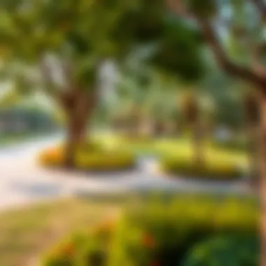 Community park in Al Warqa