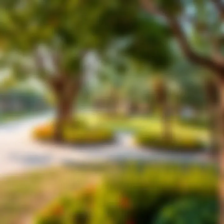 Community park in Al Warqa