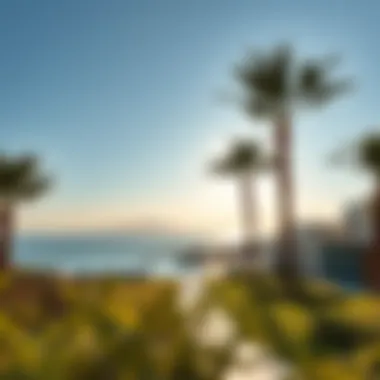 Stunning Surroundings of Bay Villas Stunning landscape surrounding Bay Villas Nakheel