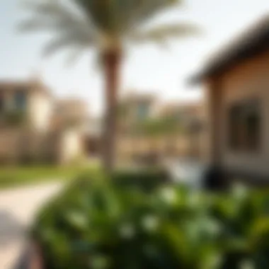 Community Lifestyle in Jebel Ali Industrial Area 2 A vibrant community scene in Jebel Ali Industrial Area 2 with recreational spaces and local amenities.