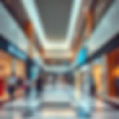 Diverse Retail Options at Bin Shabib Mall Interior layout of retail stores at Bin Shabib Mall