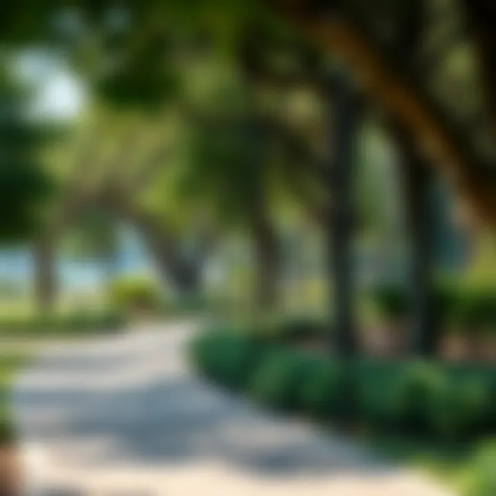 Lush green spaces and recreational areas in Choithrams Bay Avenue