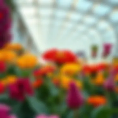 Vibrant Flower Display Close-up of a vibrant flower display showcasing unique species
