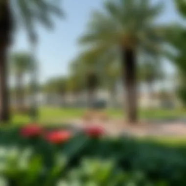 Recreational Areas in Emirates City Lush green parks and recreational areas in Emirates City