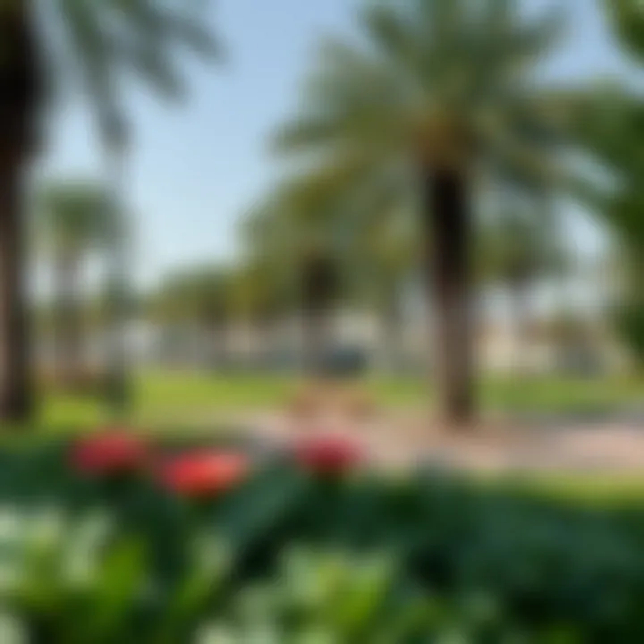 Recreational Areas in Emirates City Lush green parks and recreational areas in Emirates City