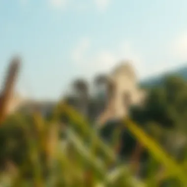 Ancient Ruins in Nature A serene location with ancient ruins surrounded by nature