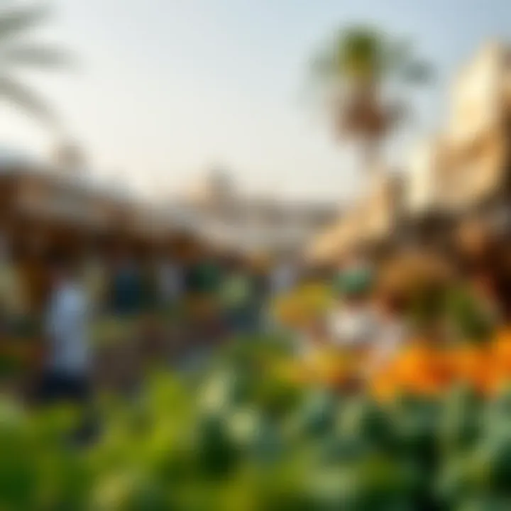 A scenic view of a bustling farmers market in Dubai showcasing local vendors