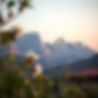 Mountain Views in Natural Reserve Stunning mountain views in a natural reserve