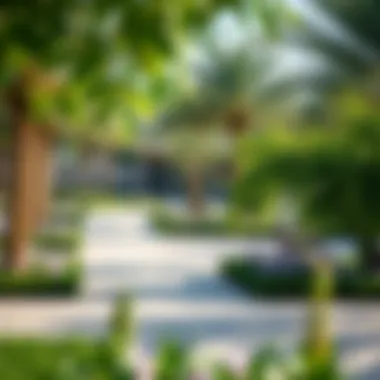 Community park in Ghantoot filled with greenery and facilities