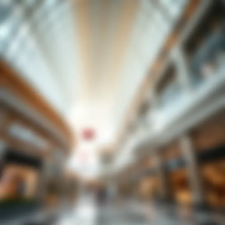 Architectural Splendor of Dubai Mall Architectural details of Dubai Mall