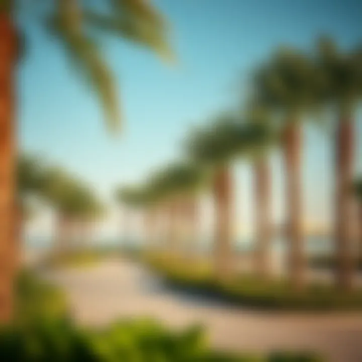 Lush palm trees and vibrant recreational areas along the beach