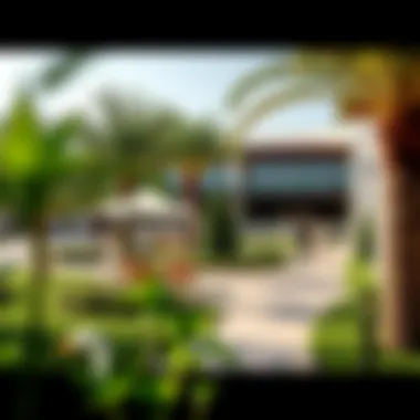 Lifestyle and Amenities in Port Rashid Lush green amenities and lifestyle features at Port Rashid