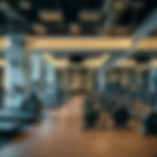 Modern gym facilities with state-of-the-art equipment