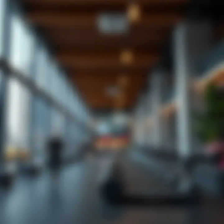 An overview of property values influenced by gym proximity