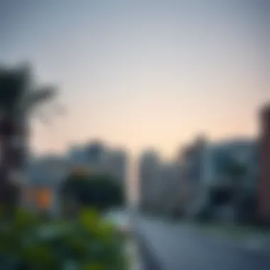 A vibrant neighborhood showcasing fitness culture