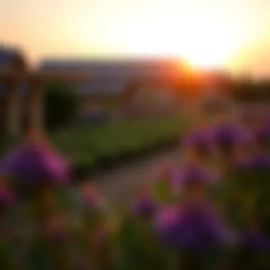 A picturesque view of a Hatta farm at sunset