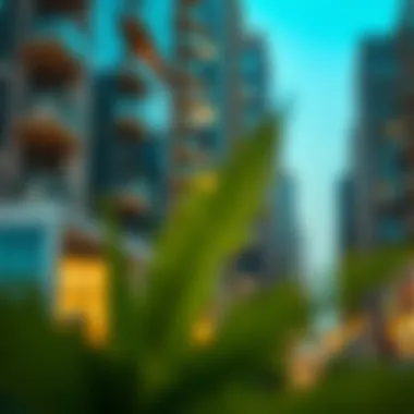 Exploring Rental Options Near Deira City Center: An In-Depth Guide Summary Exploring Rental Options Near Deira City Center: An In-Depth Guide Summary
