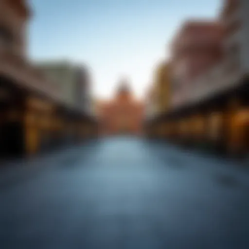 Exploring Souq Warsan: A Comprehensive Guide to a Unique Dubai Neighborhood Introduction