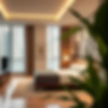 Understanding the Rental Process in Dubai Rental process overview graphic