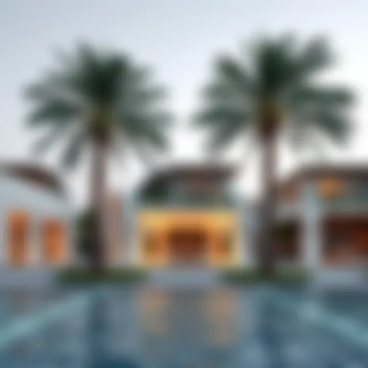 Luxurious Beachfront Villas Luxurious beachfront villas on the Dubai Islands with palm trees in the foreground