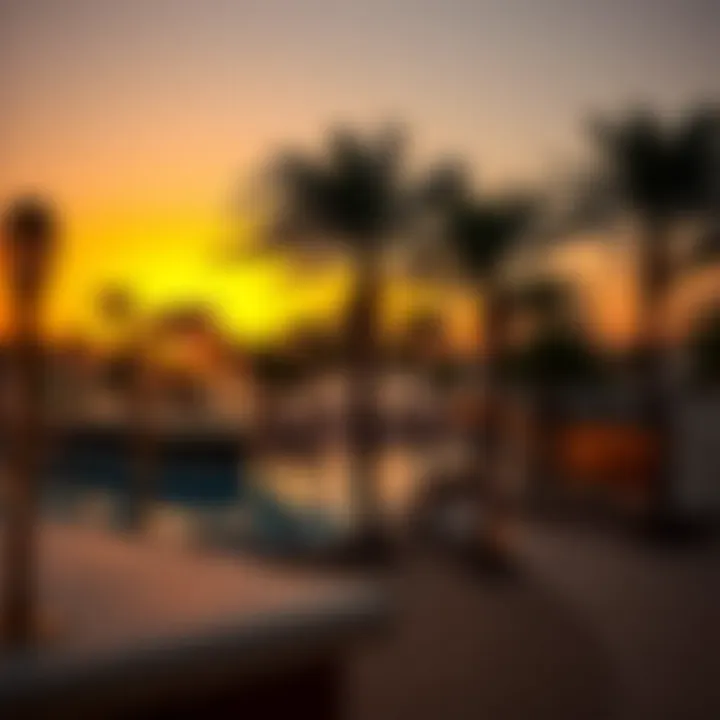 Scenic view of a beach club at sunset with palm trees